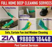 Zia Pest Control and  Deep Cleaning service | Professional Deep cleans